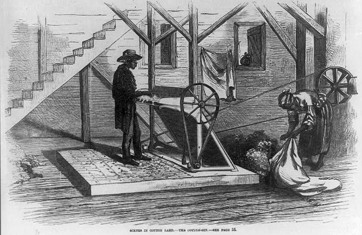 african americans cotton gin antebellum era