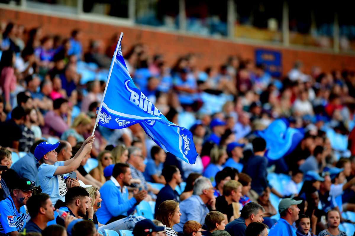 blue bulls supporters