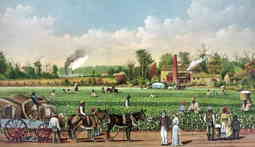cotton plantation mississippi antebellum south