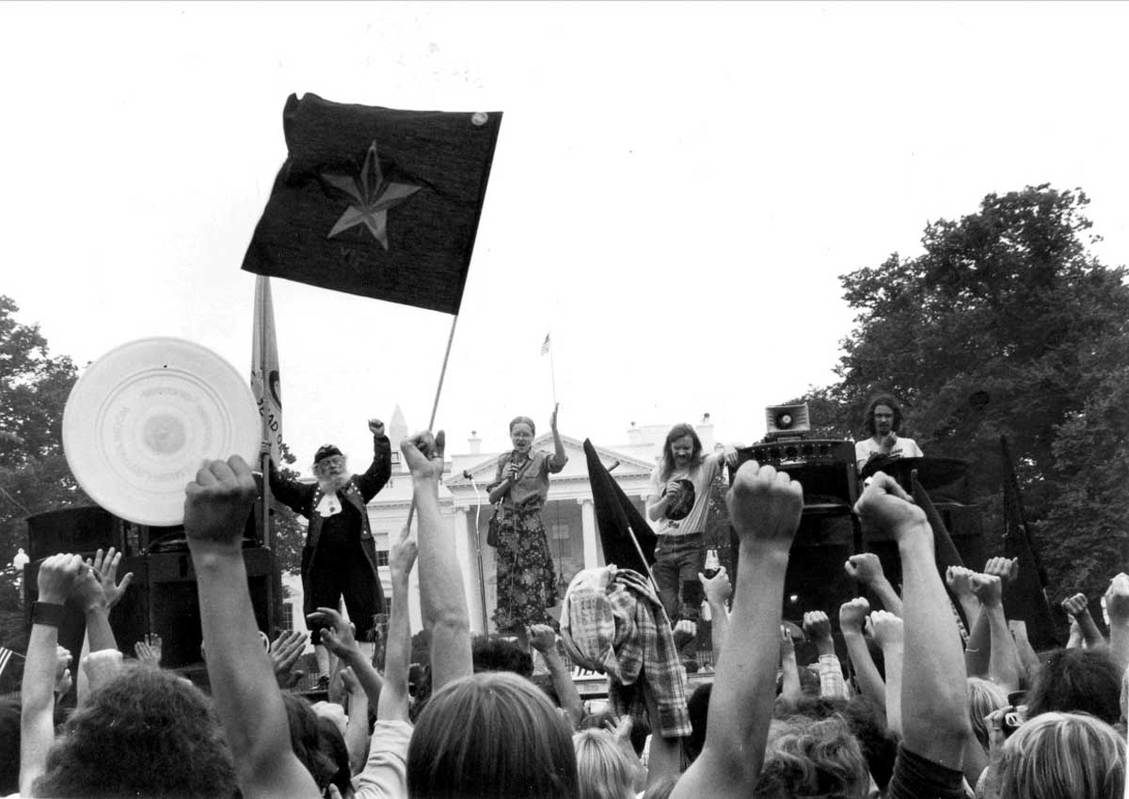 dana beal yippie protest counterculture movement