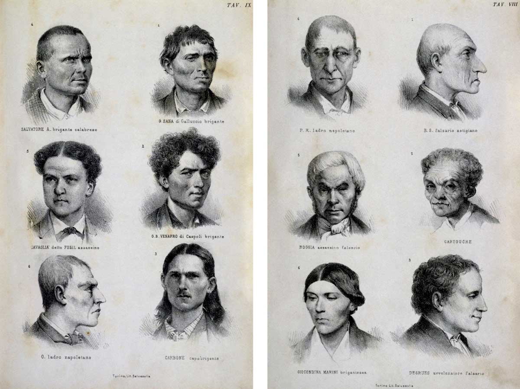 lombroso physyognomy of criminals print 1876