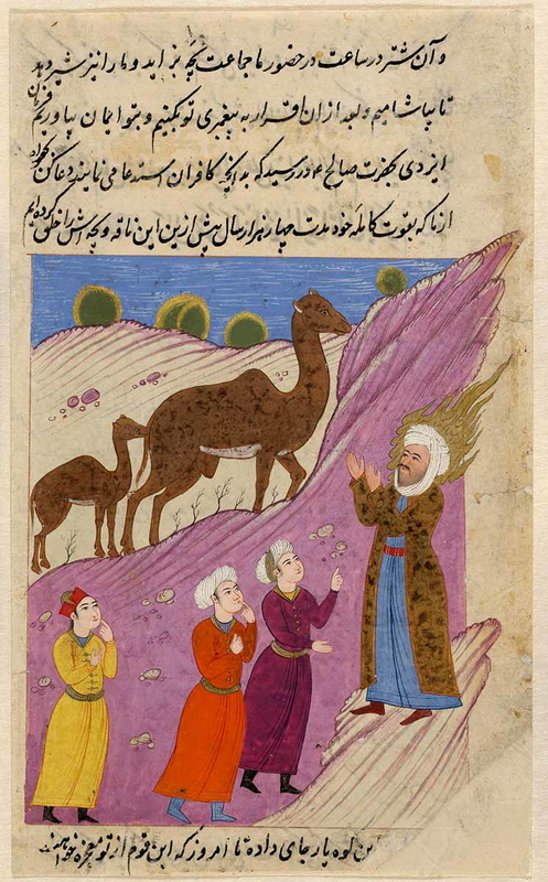 saleh and camel prophet in islam
