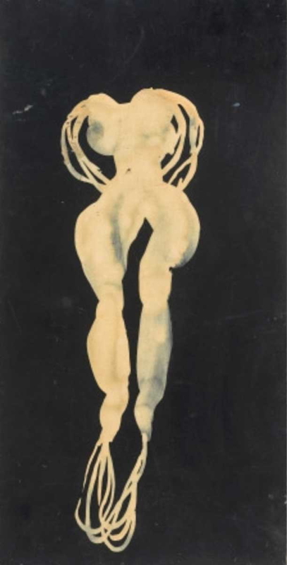 shahzia sikander slight pleasing dislocation