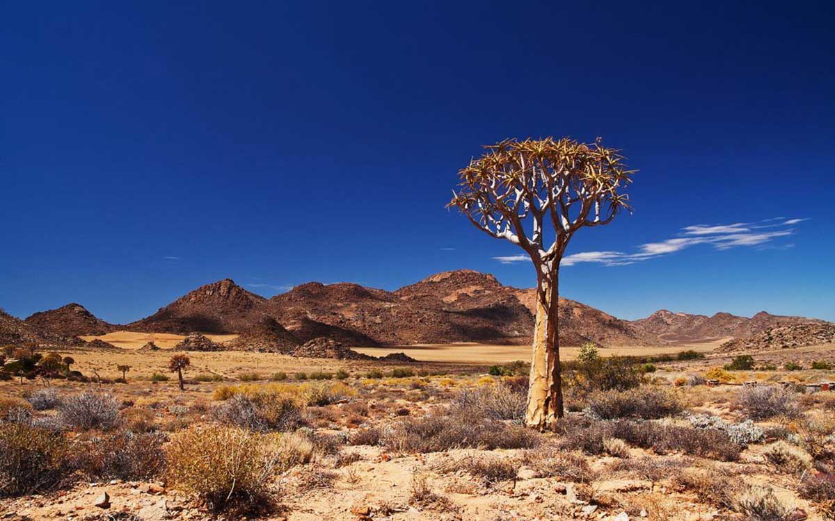 south african legends richtersveld