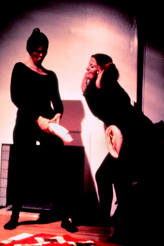 cock cunt play judy chicago womanhouse