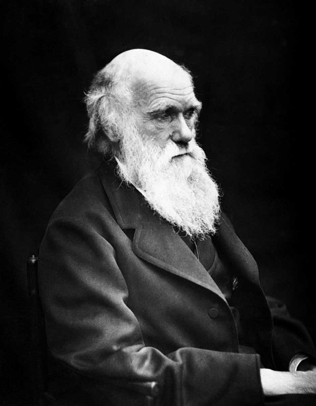 darwin photograph black and white