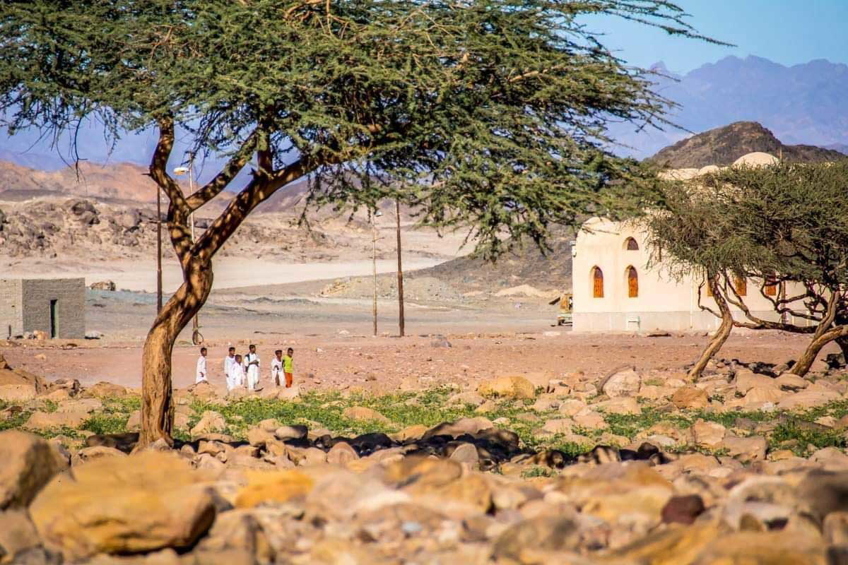 halaib triangle egypt sudan border