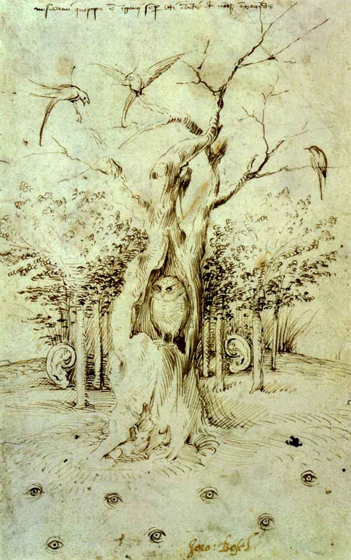 the hearing forest and the seeing field