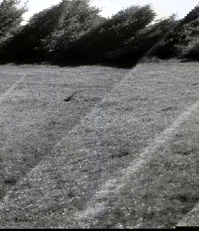 richard long a line made by walking land art