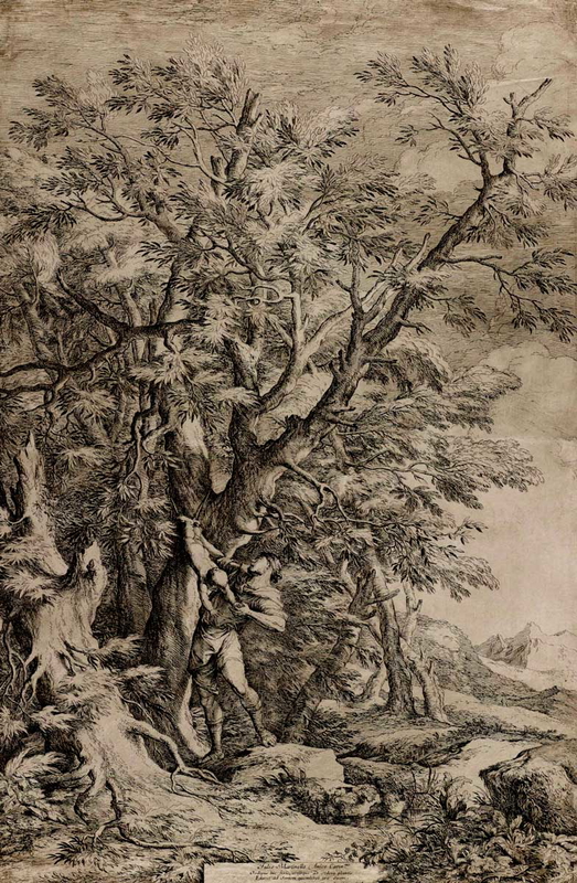 rosa rescue infant oedipus