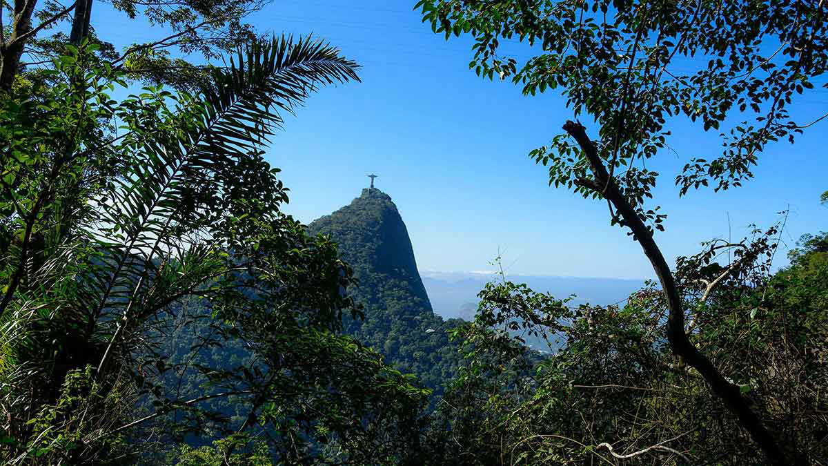 tijuca forest national park