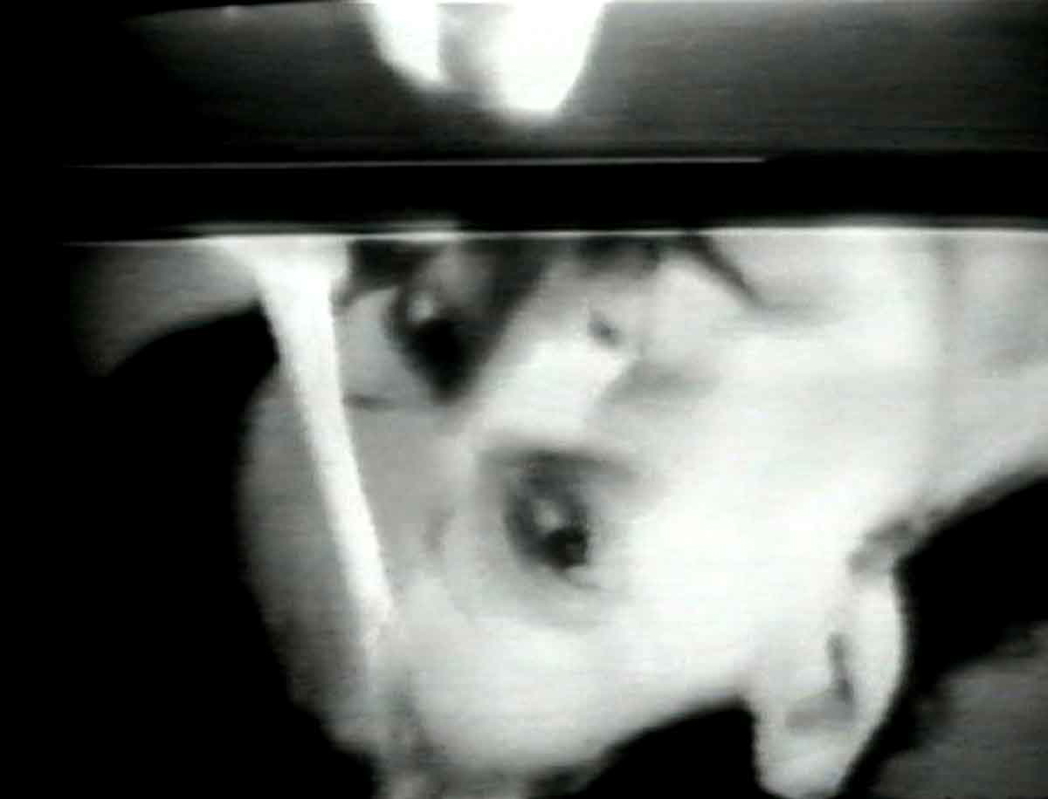 video artists joan jonas vertical roll