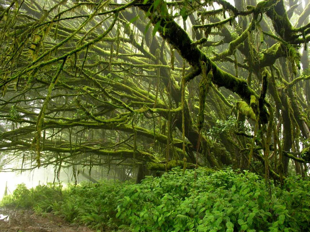 A History of British Island Territories in the South Atlantic