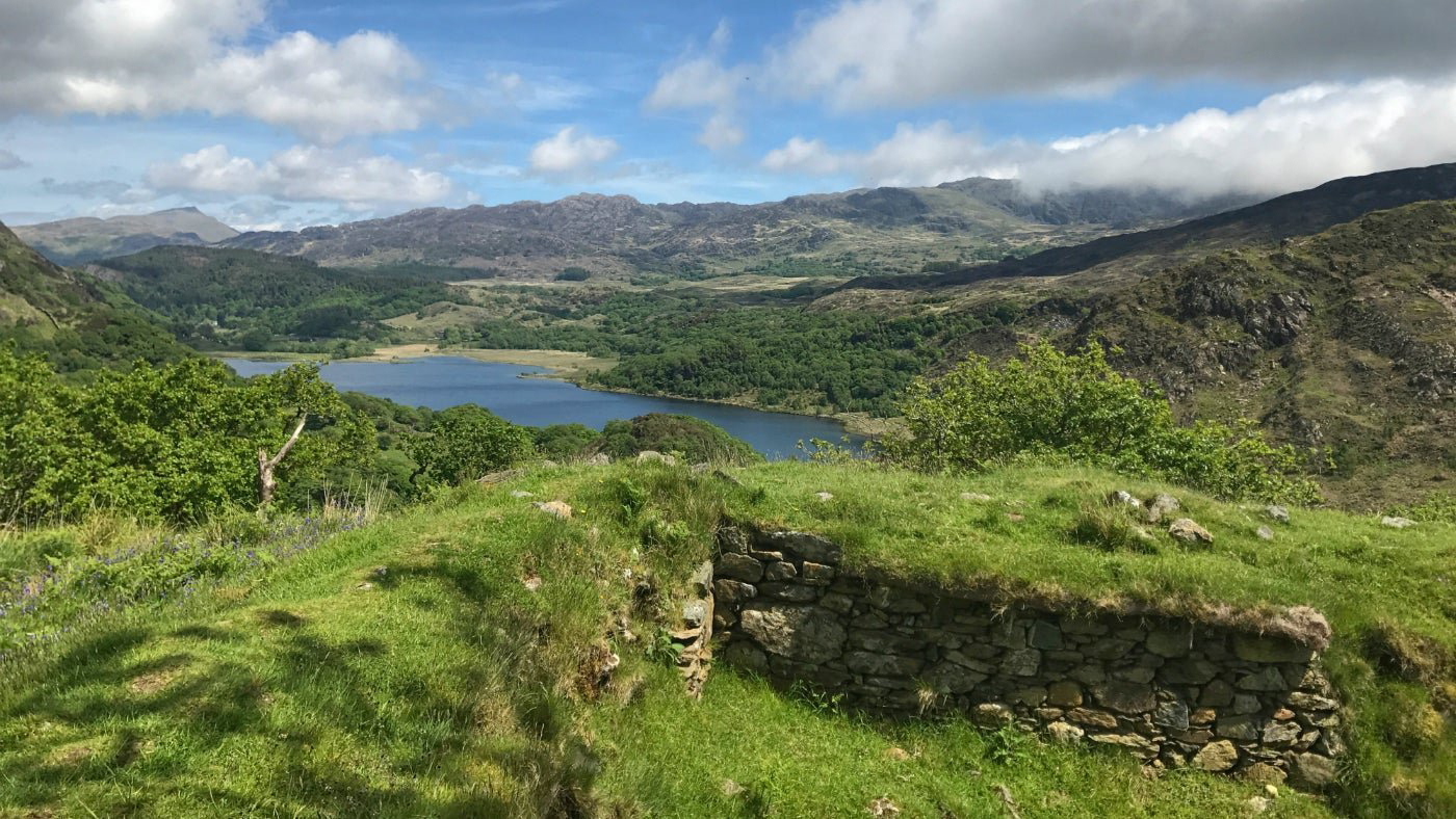 dinas emrys