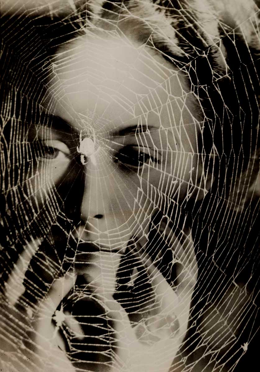 dora maar spider web photo