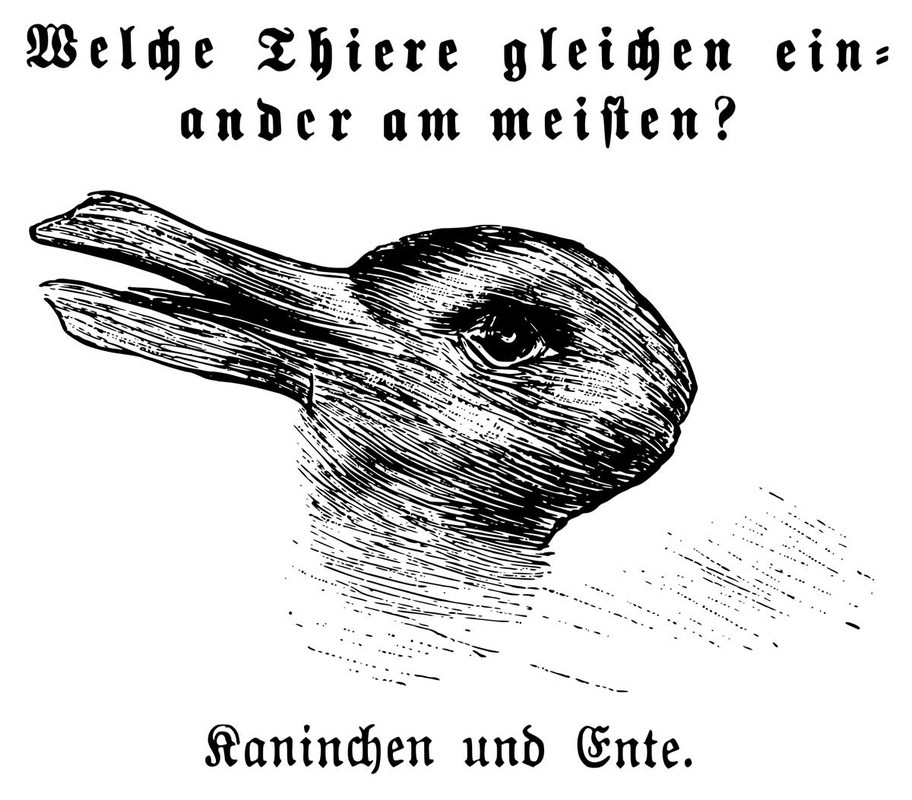 duck rabbit illusion