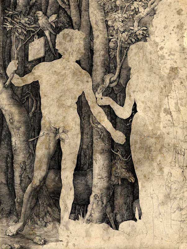 durer adam eve engraving trial proof
