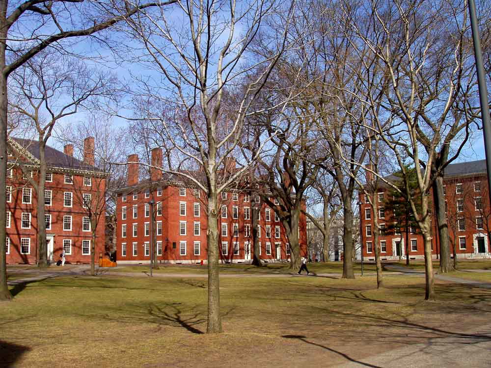 harvard yard photograph
