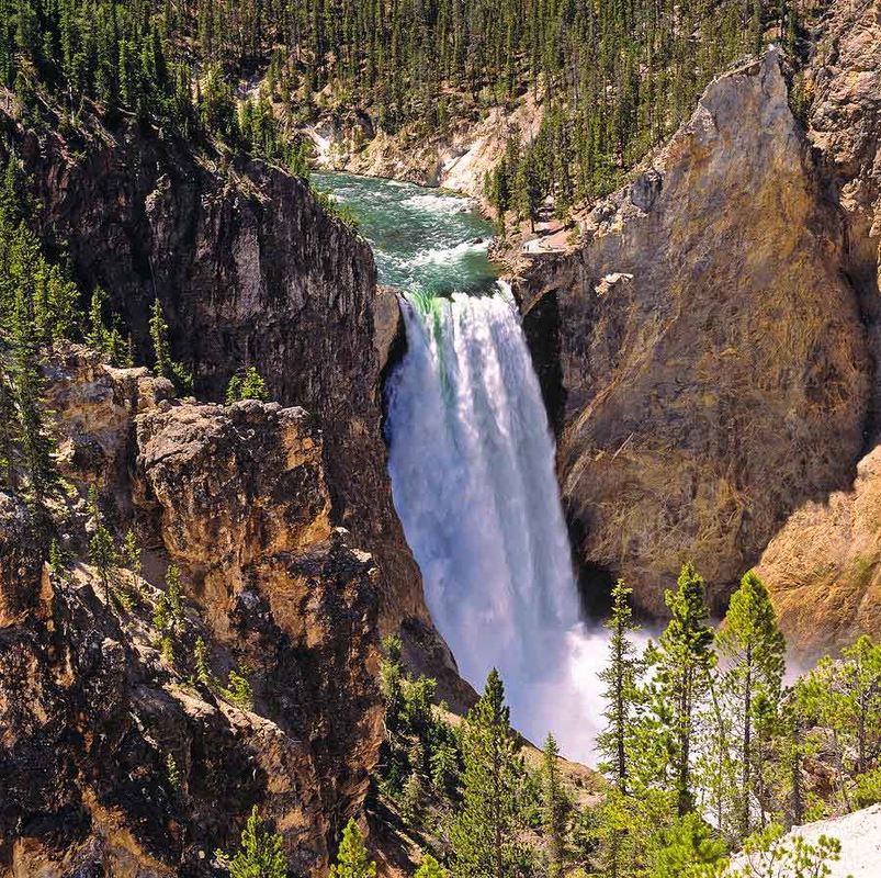 lower falls yellowstone national park