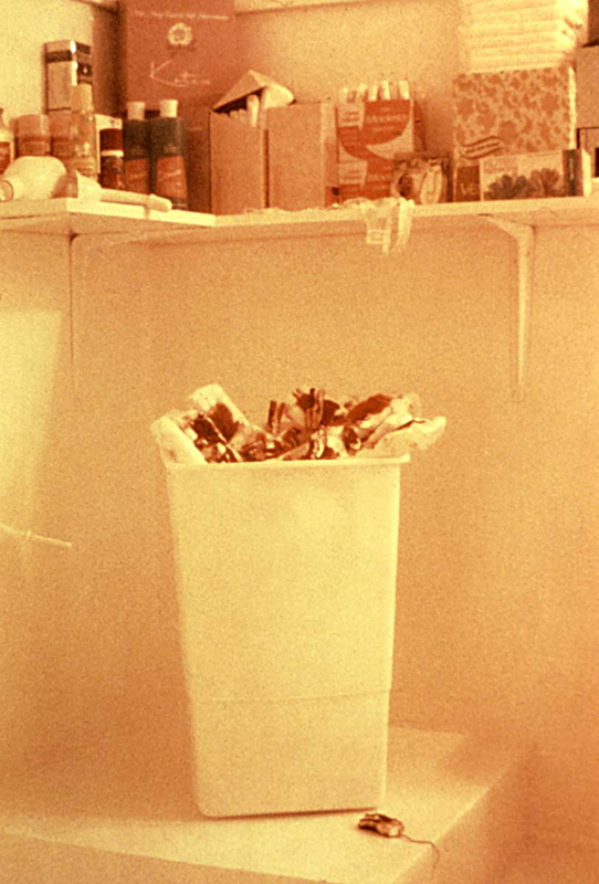 menstruation bathroom judy chicago womanhouse
