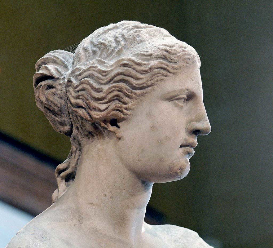 venus de milo detail