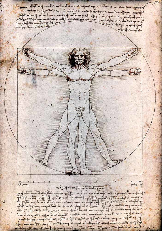 vitruvian man leonardo vinci