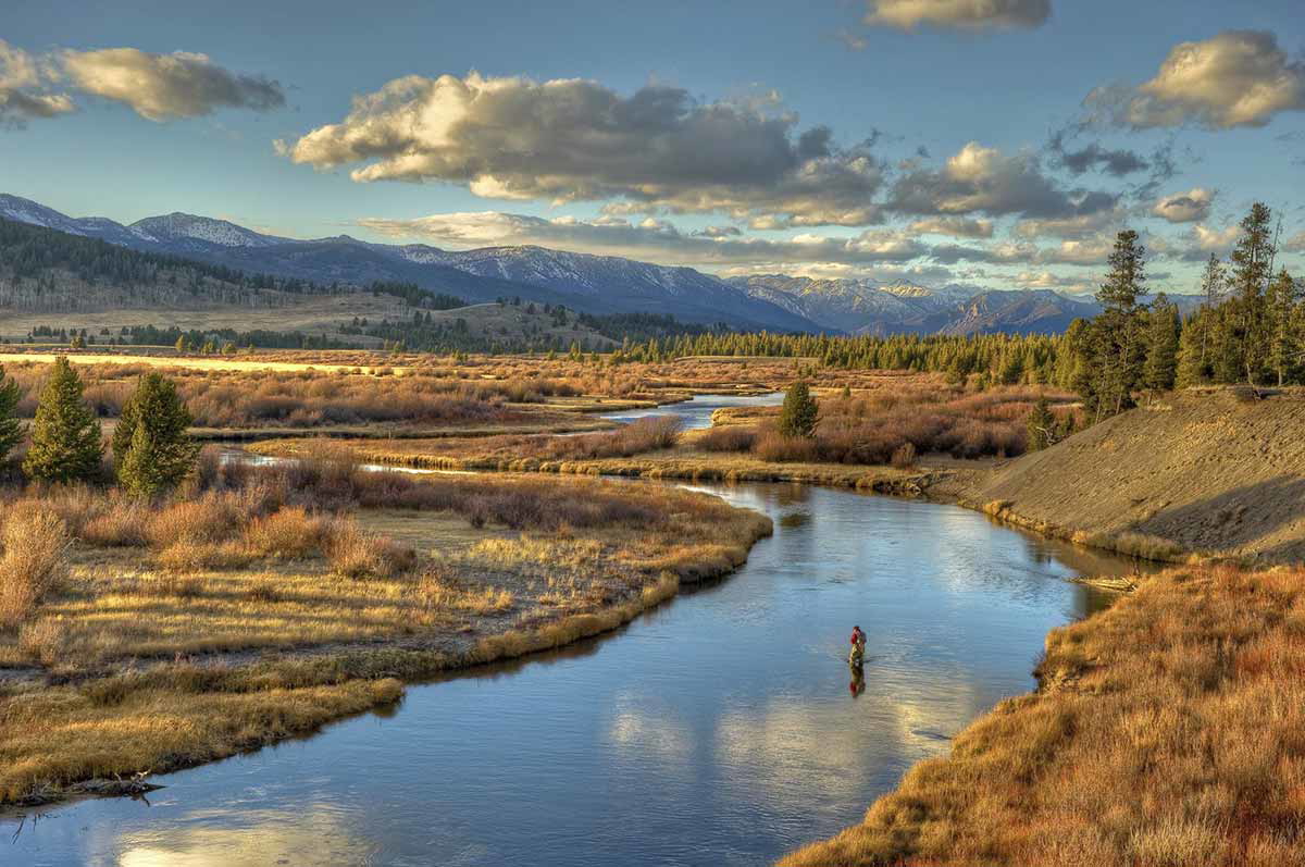yellowstone national park montana