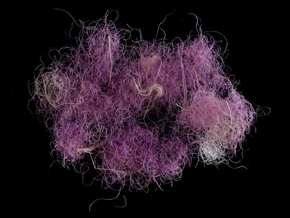3000 year old fluff