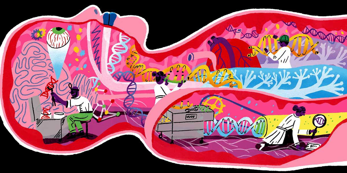 Aart Jan Jenema designer babies illustration