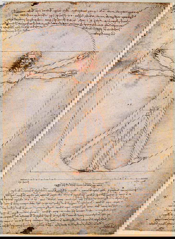 the vitruvian man