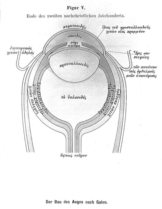 diagram of the eye galen