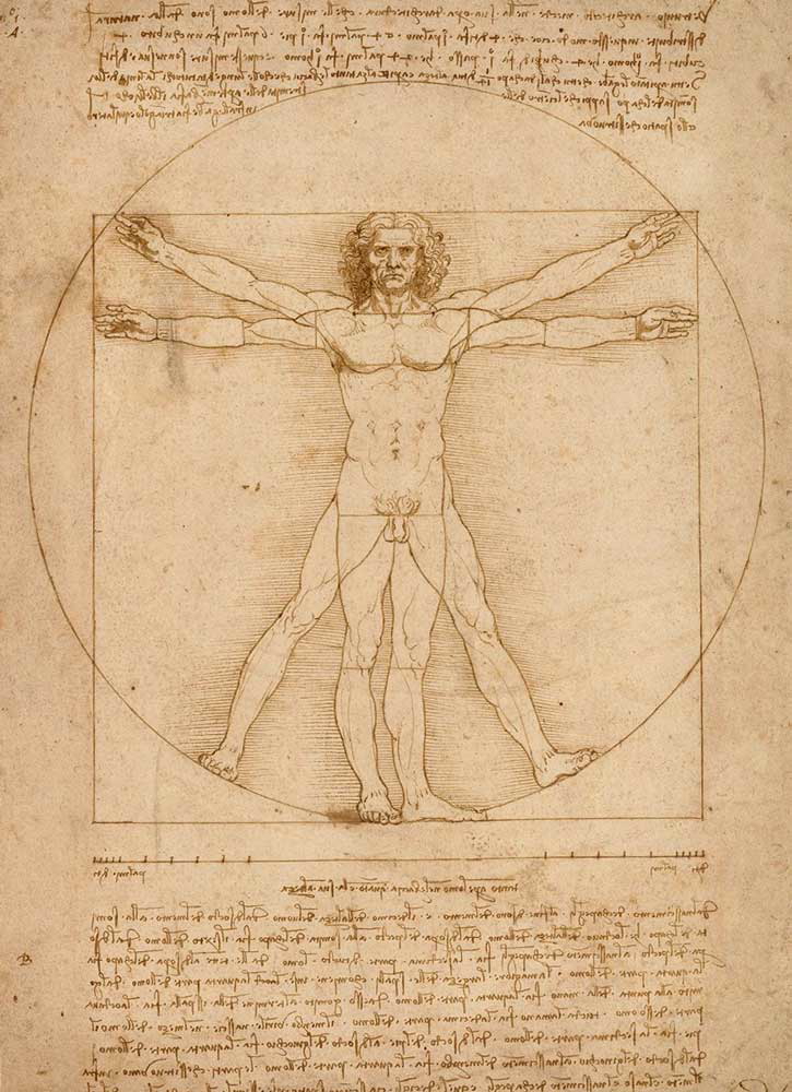 leonardo da vinci vitruvian man humanism individual