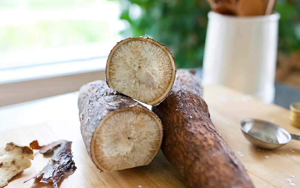 maya food included drought resistant cassava