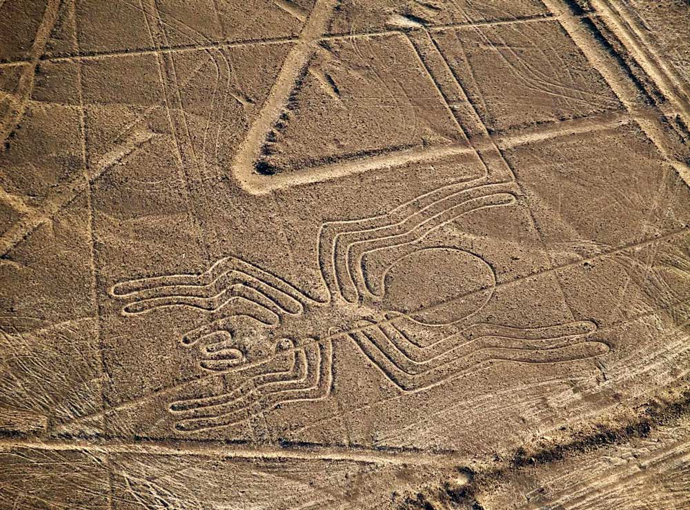 nazca lines spider