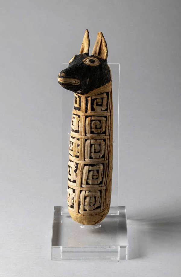 Dogs in Ancient Egypt The Early Origins of Man’s Best Friend