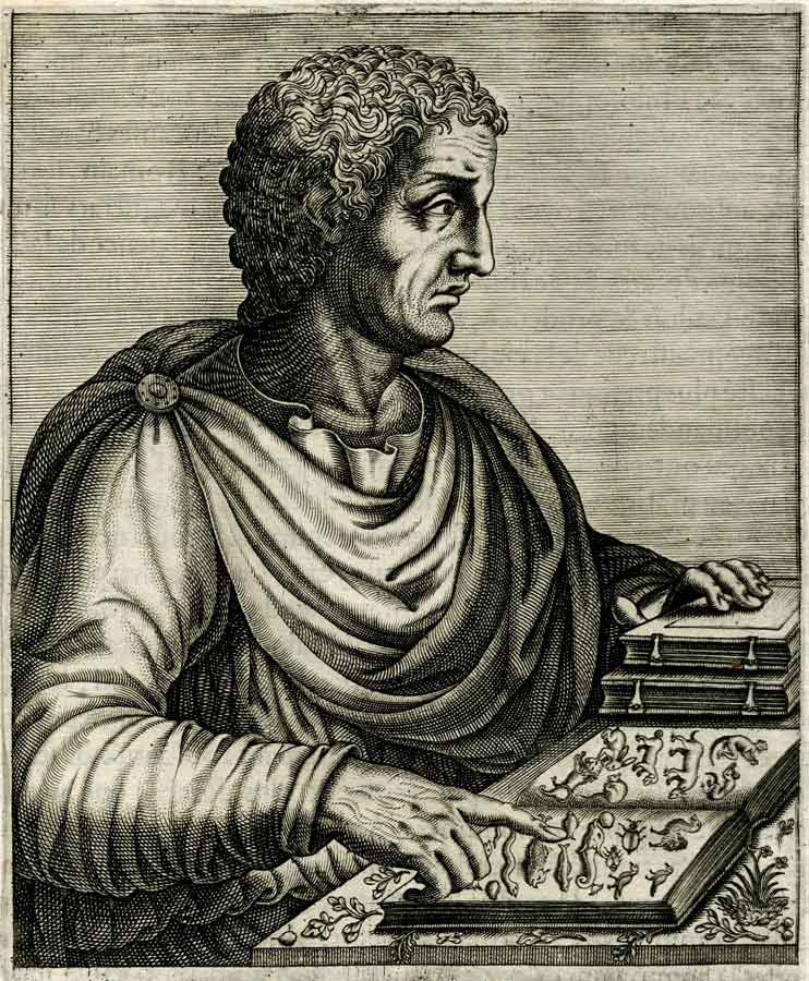 pliny the elder print engraving