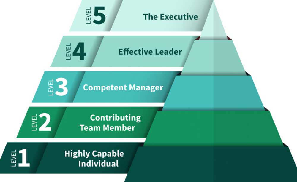 political machine bureaucracy hierarchy