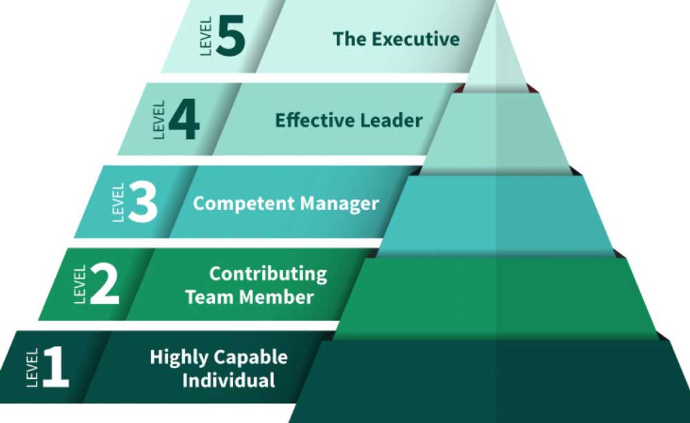 political machine bureaucracy hierarchy