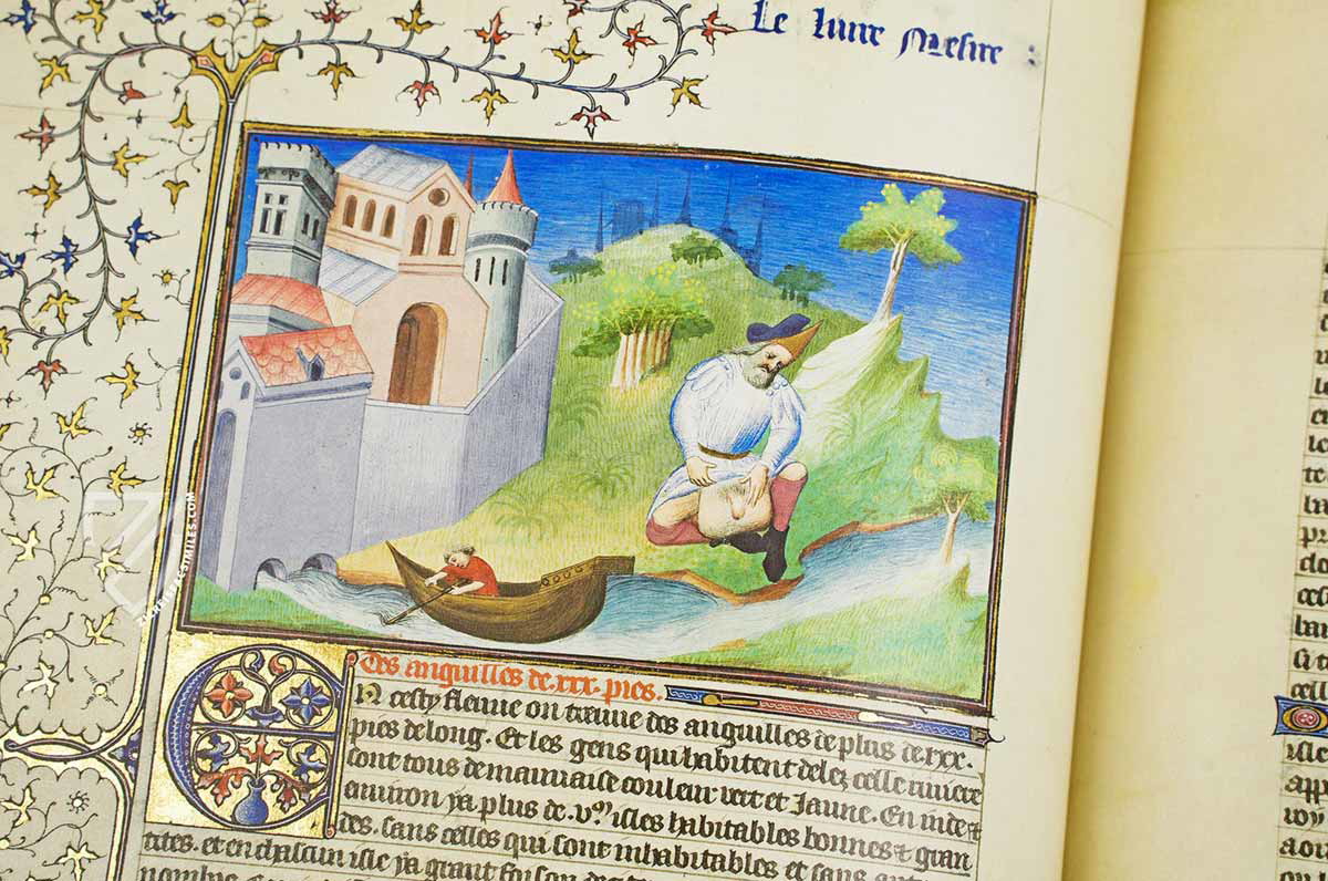 the journeys of the knight jean de mandeville german translation