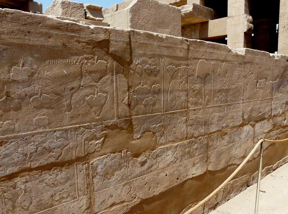 thutmose iii botanical garden