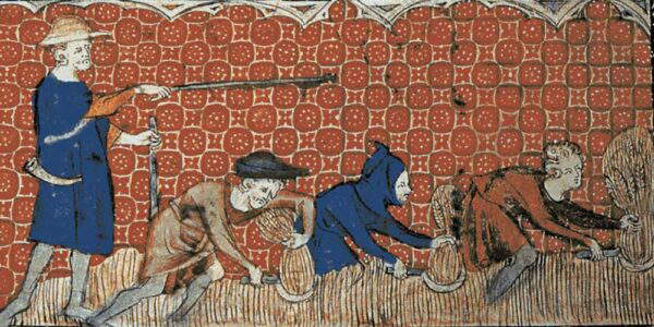 What Is Reeve A Glimpse into the Lives and Roles of Anglo-Saxon Women