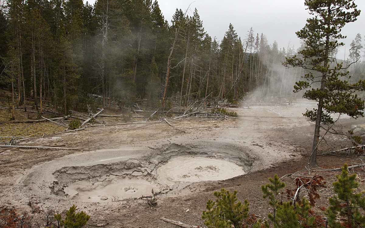 mud volcano yellowstone national park