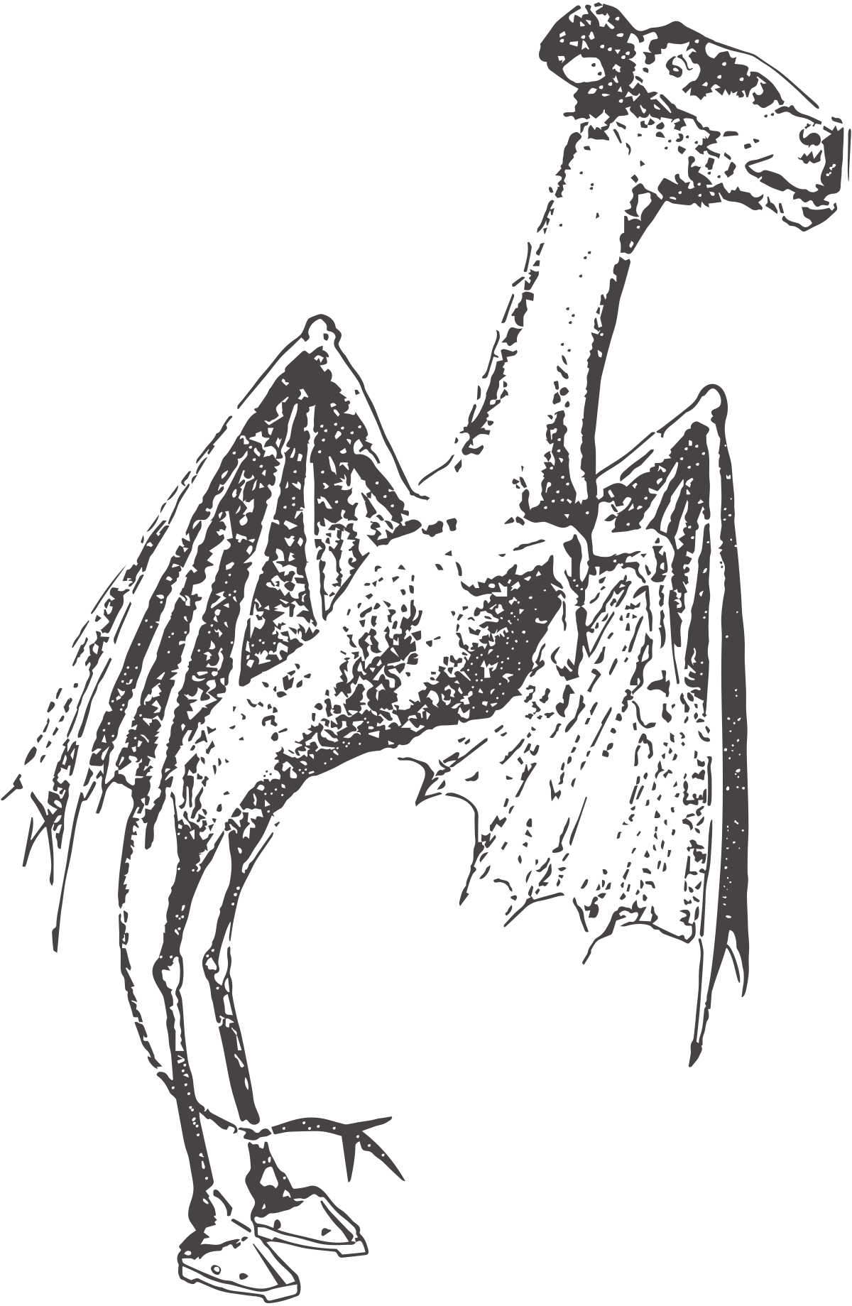 The Jersey Devil, an illustration in The Evening Bulletin Philadelphia in January 21, 1909. Source: Wikimedia Commons
