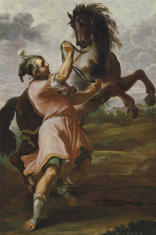canuti alexander famous horse bucephalus