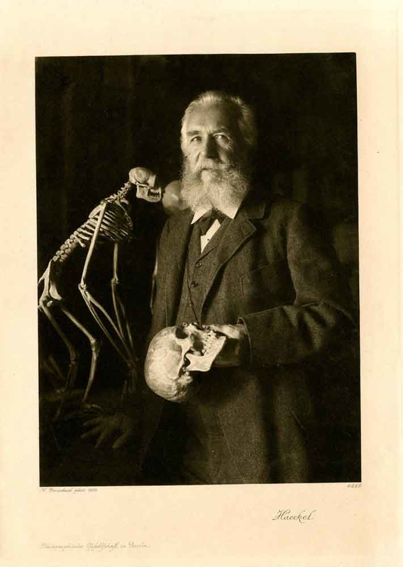 ernst haeckel photograph nicola perscheid