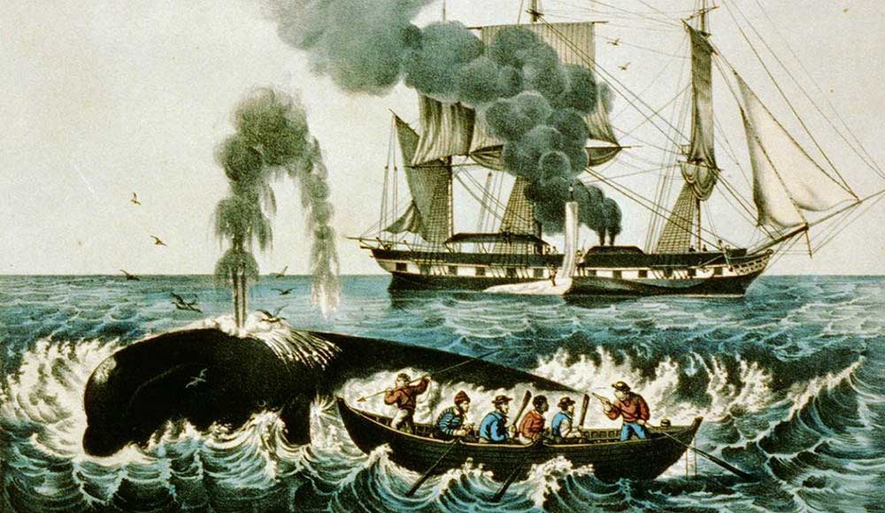 history whaling ship