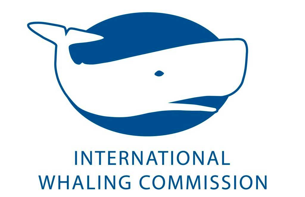 international whaling commission