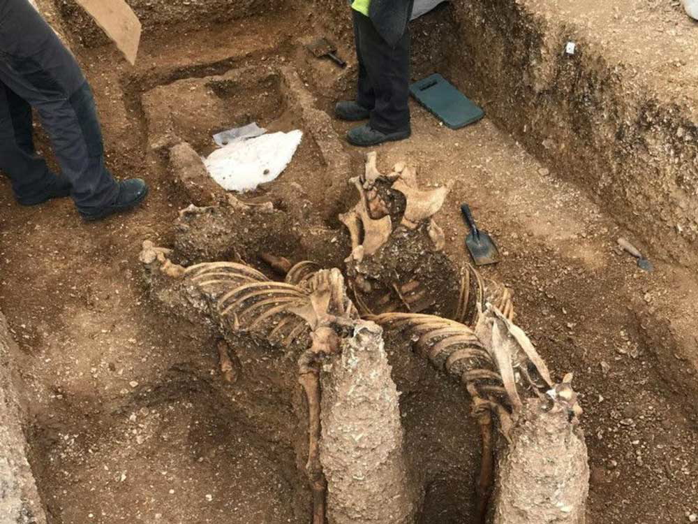 pocklington chariot burial