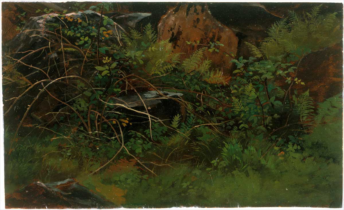 study from nature painting
