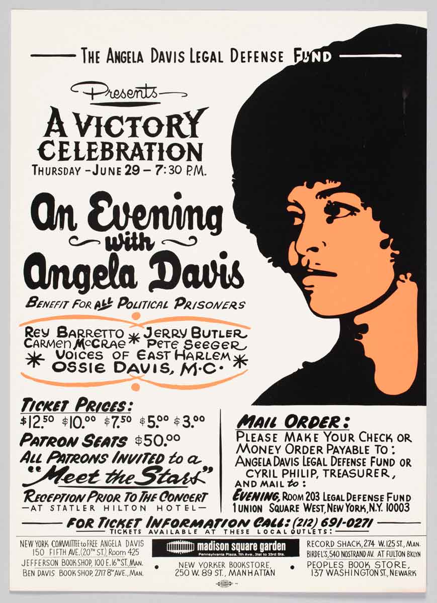 angela davis freedom flyer